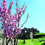 Casa Da Amendoeira Πανσιόν Castelo Rodrigo