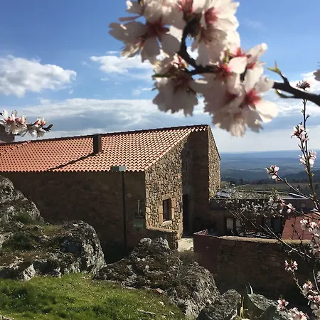 ゲストハウス Casa Da Amendoeira