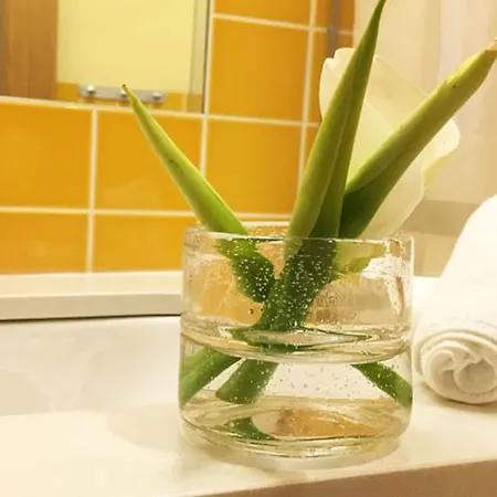 ゲストハウス Casa Da Amendoeira