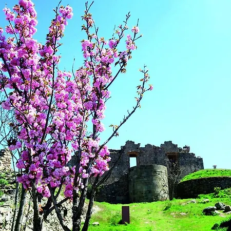 Casa Da Amendoeira Πανσιόν Castelo Rodrigo