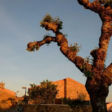 ゲストハウス Casa Da Amendoeira