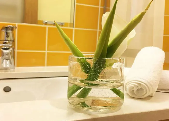 招待所 阿蒙德拉旅馆