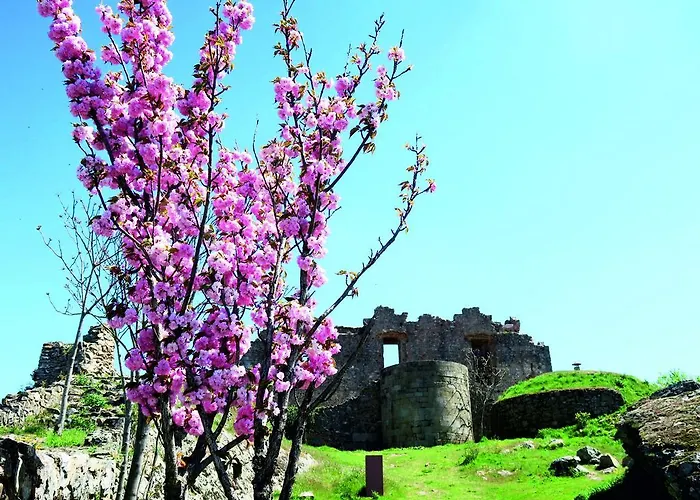 Casa Da Amendoeira Penzion Castelo Rodrigo